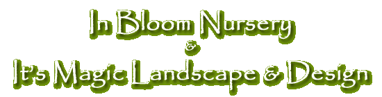 In Bloom Nursery & It's Magic Landscape